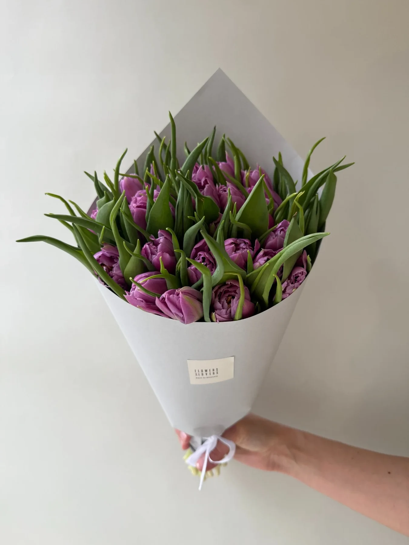 Violetinės bijūninės tulpės