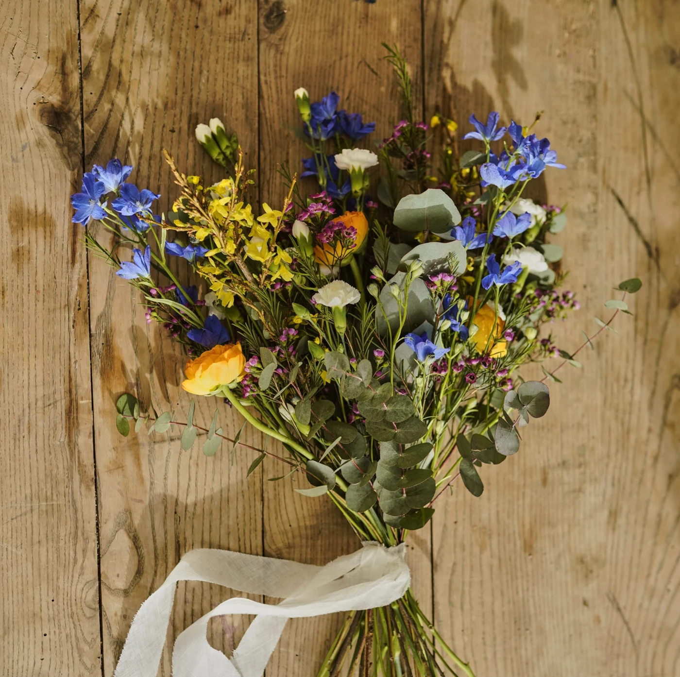 Lovely Spring, What Did You Bring?